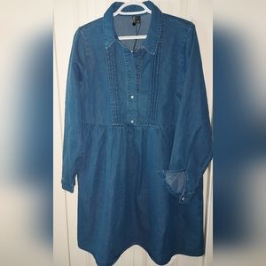 Denim/Jean Shirt Dress